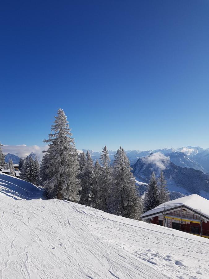 Gasthaus Schaefli Gersau Exteriér fotografie